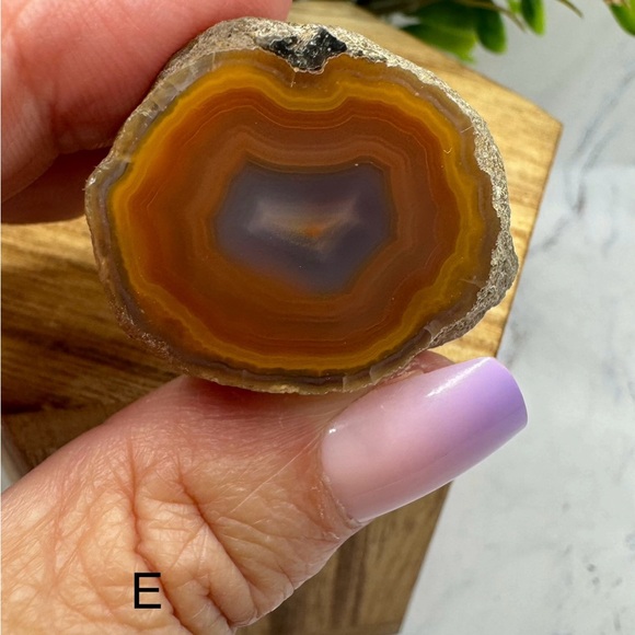 Coyamito Agate from Chihuahua Mexico - Picture 2 of 6